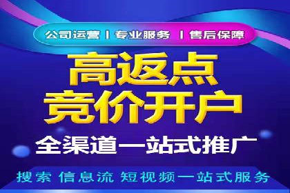 百度SEM推广案例：揭秘行业领军企业的成功之路