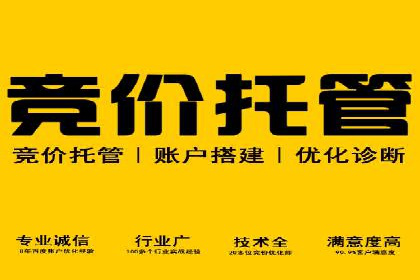 SEM优化实战：从零开始打造爆款广告